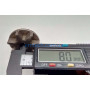Зірочка для електропили Vitals EKZ 2245
